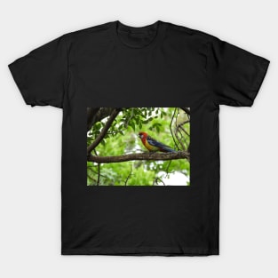 Eastern Rosella sitting in a tree T-Shirt